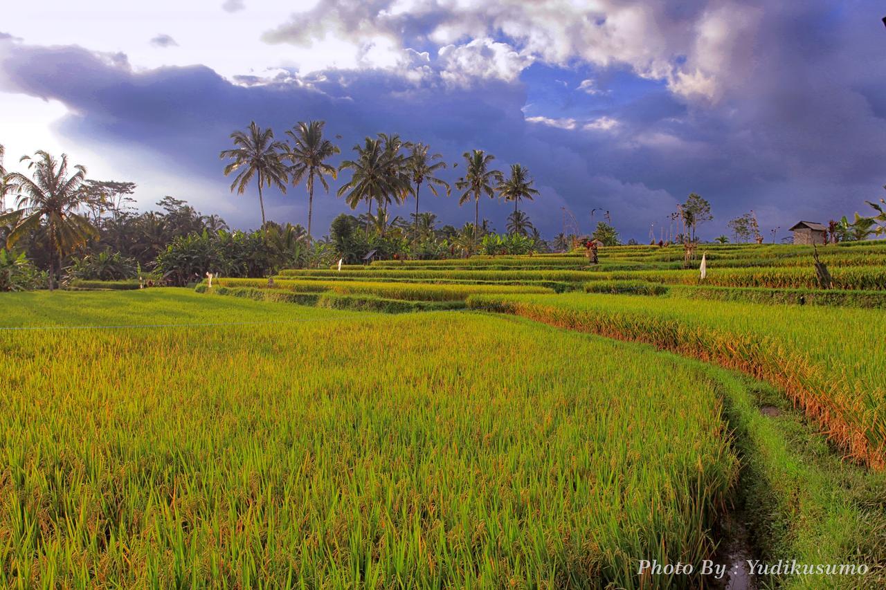 Tetirah Boutique Hotel Ubud Exteriér fotografie