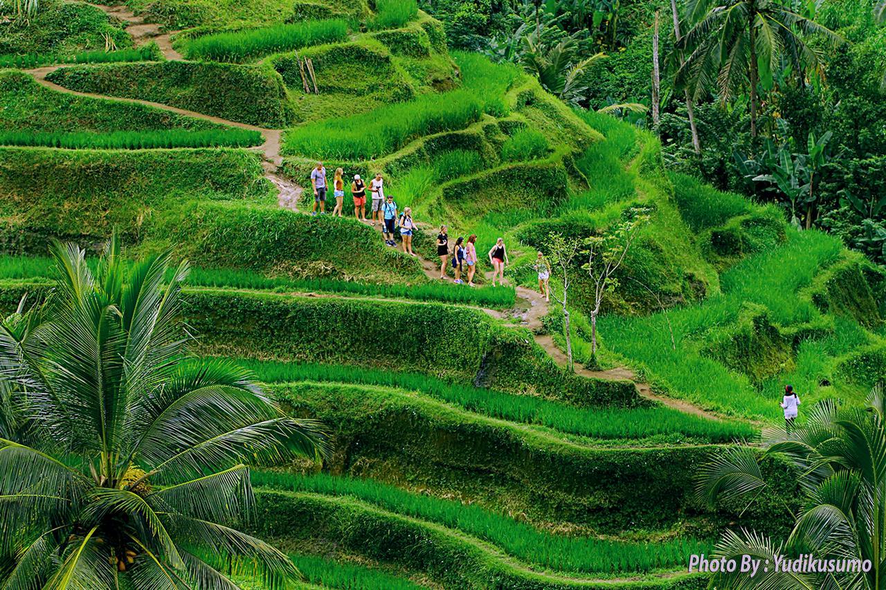Tetirah Boutique Hotel Ubud Exteriér fotografie